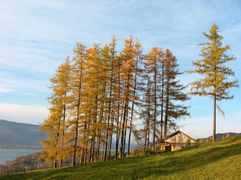 Attersee-Chalet Angermann Familie Spalt Steinbach am Attersee Buitenkant foto